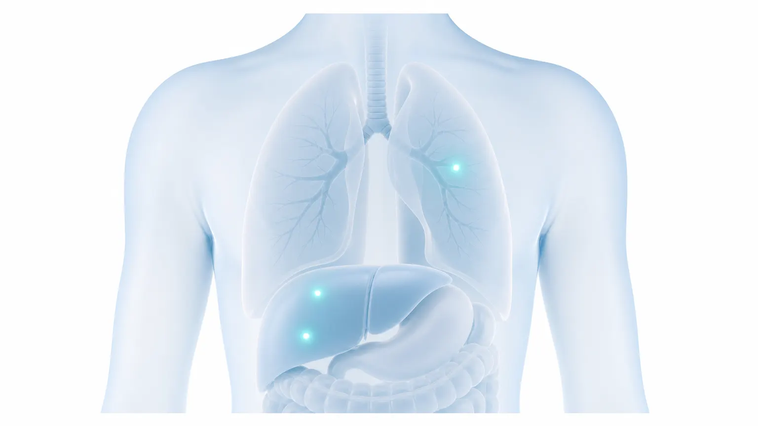 Illustration of a torso with three small highlighted points