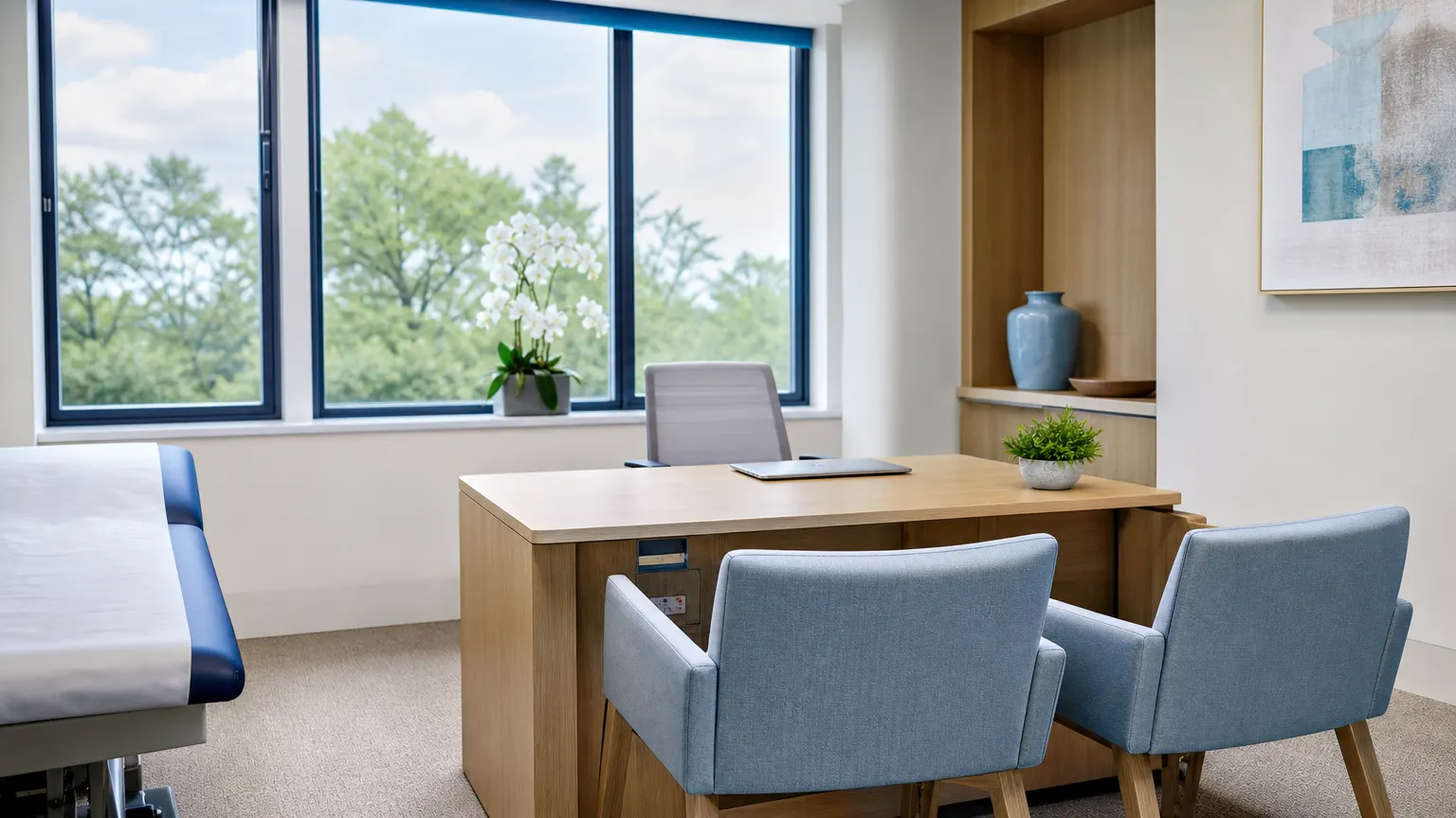 A private consulting room with two armchairs and a desk by a window